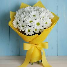 Букет цветов из:  Хризантемы в Солослово