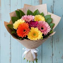 Букет цветов из:  Герберы #REPLACE_PRED# Солослово
